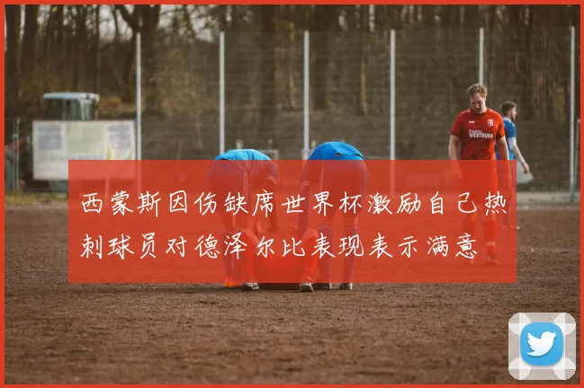 西蒙斯因伤缺席世界杯激励自己热刺球员对德泽尔比表现表示满意